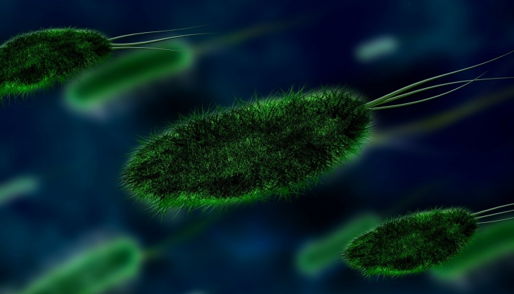 5 rzeczy na których jest więcej bakterii niż Ci się wydaje.