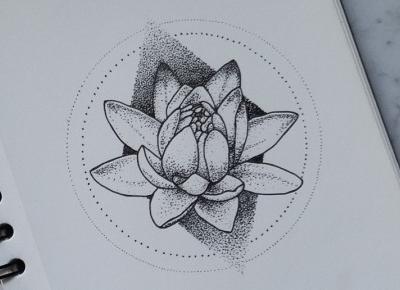 ✨ Kwiat lotosu ✨ | Dotwork art