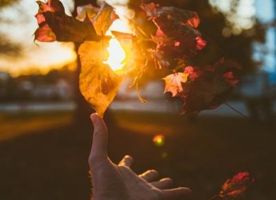 Fotografia - Kolejne pomysł na jesienne kadry