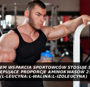 BCAA! Dlaczego te trzy aminokwasy: leucyna, izoleucyna, walina zyskały miano najważniejszych w sporcie?