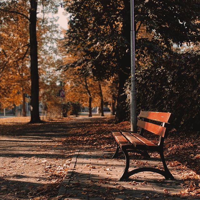 Jesienne zdjęcie - inspiracja