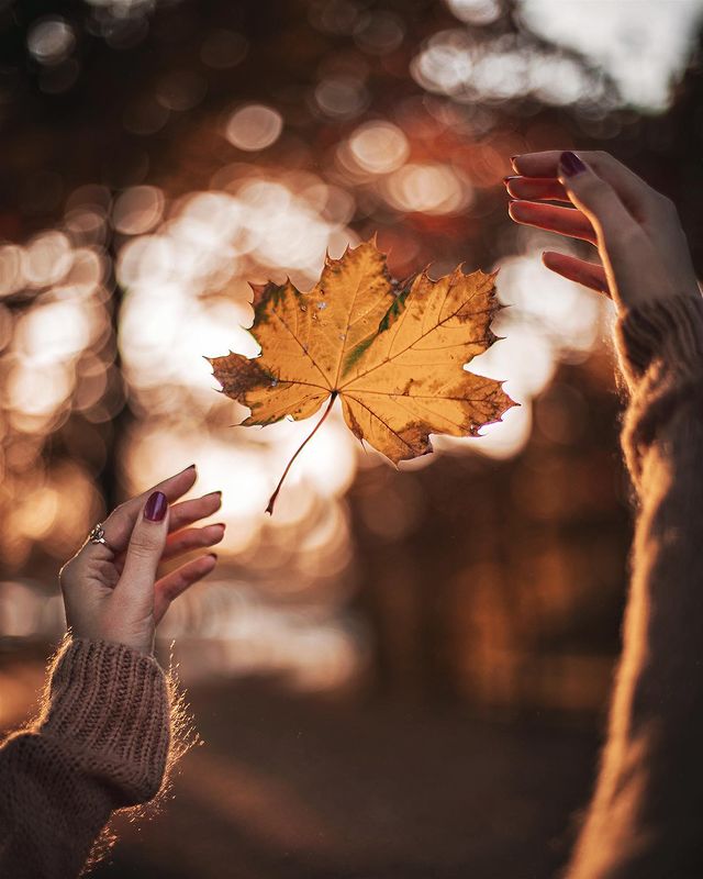 Jesienne zdjęcie - inspiracja