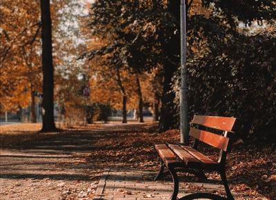 Jesienne zdjęcie - inspiracja