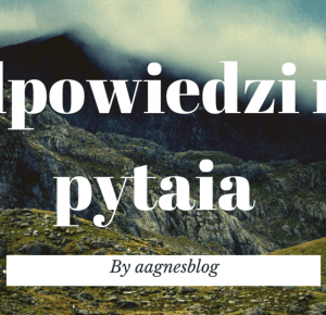 Aagnesblog: ODPOWIEDZI NA PYTANIA