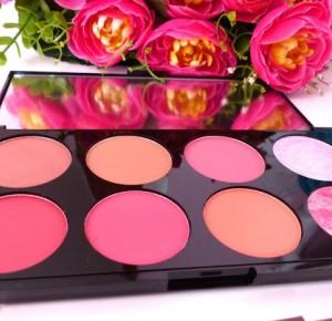 Makeup Revolution - Review Ultra Blush Palette Sugar 