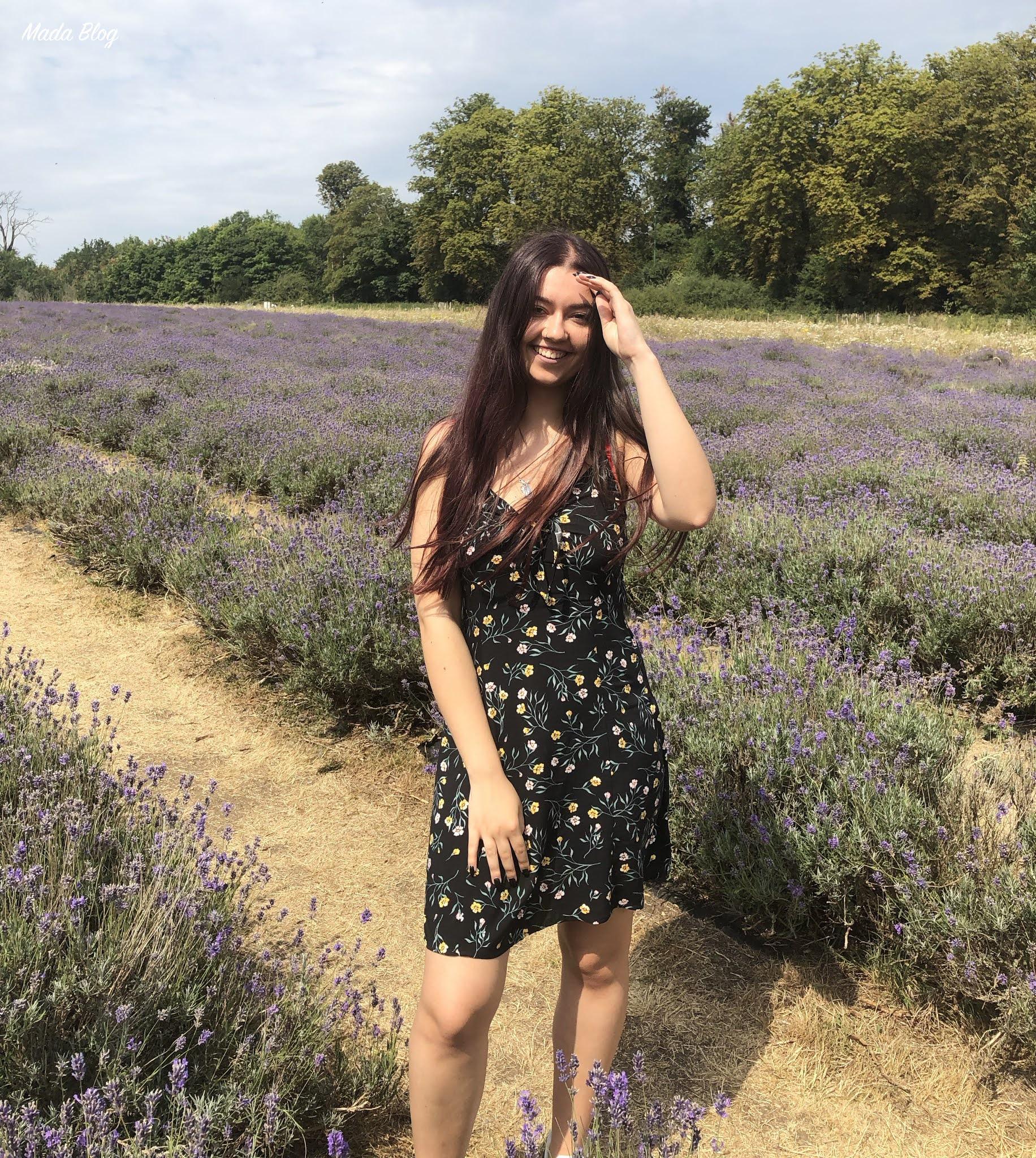 Mada-Blog: Mayfield Lavender Farm London & SeaLife Birmingham