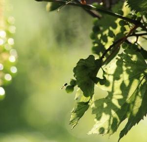 Tak ma wyglądać każdy twój dzień?