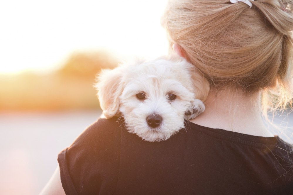 10 powodów, dla których właścicielki psów to po prostu świetne babki