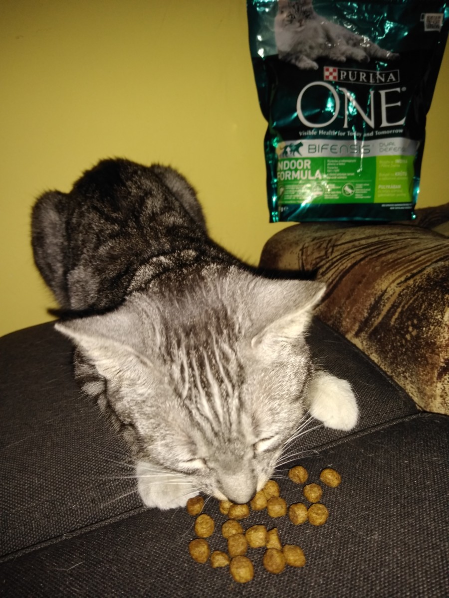 Purina one