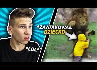 LEW ZAATAKOWAŁ DZIECO W ZOO... 😱