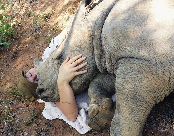 Kłusownicy zabili mu mamę. Małym nosorożcem zaopiekowała się wolontariuszka