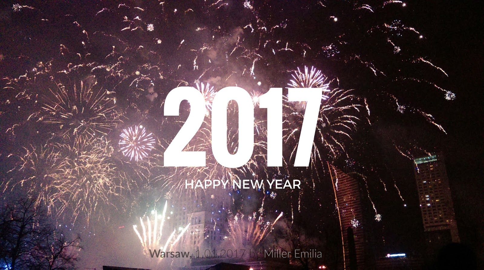 Hello 2017!  | Emilia Miller
