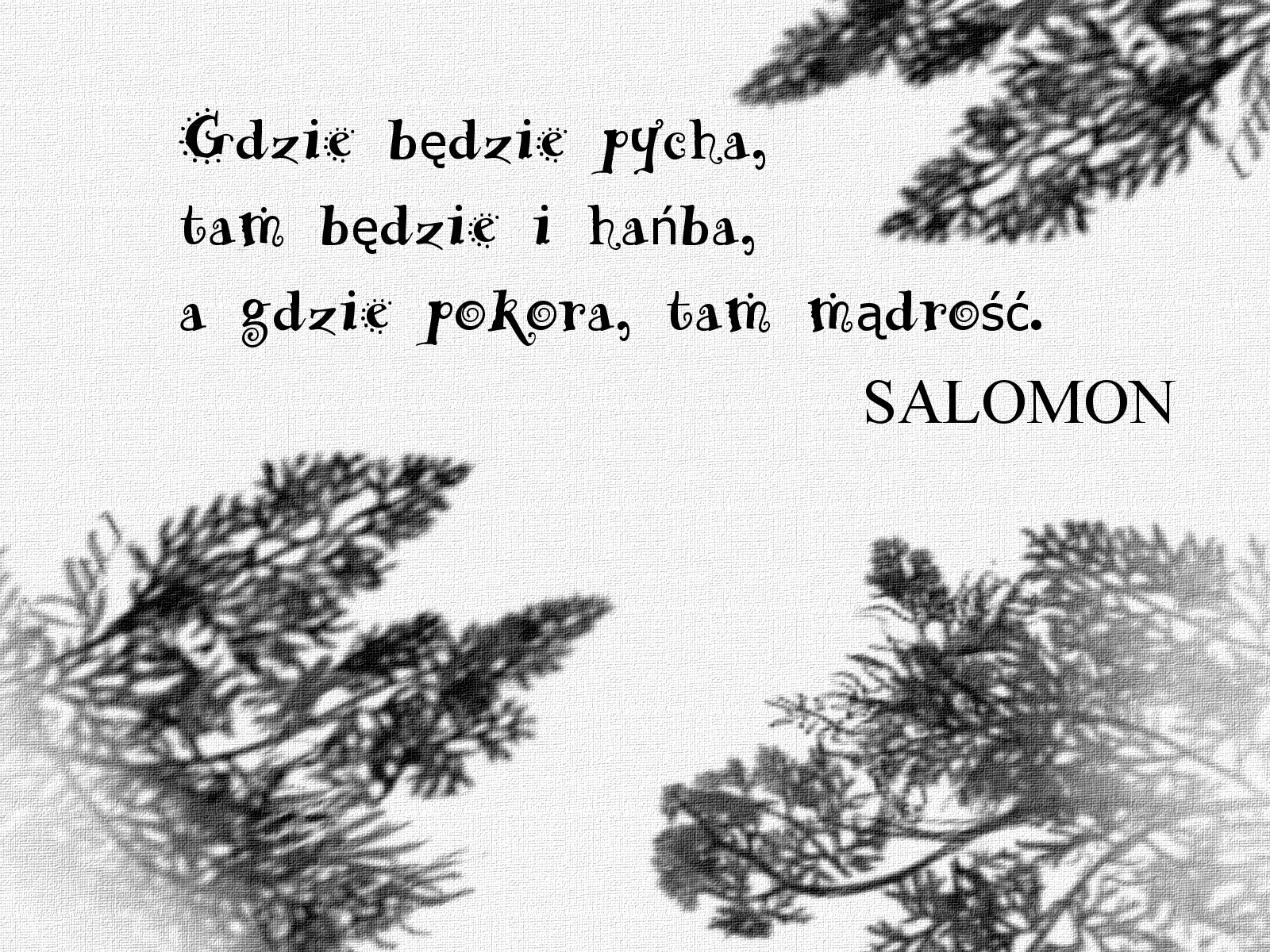 Najważniejsza cecha ludzi | Moja Perspektywa