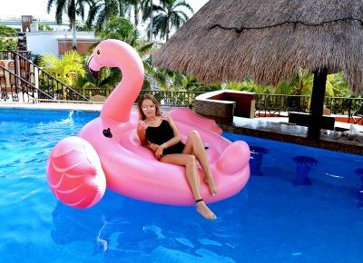 Pink flamingo in the pool 