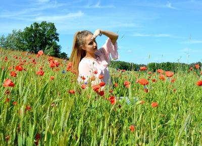 Poppy flowers 