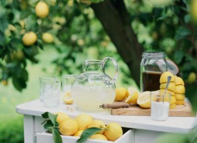 Domowa lemoniada – orzeźwia najlepiej. Oto 3 przepisy bez cukru - Glamour.pl