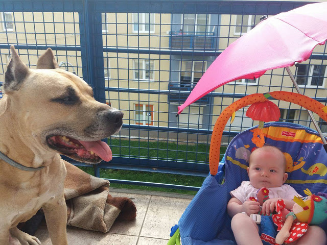 To make up our world: Namiastka nadchodzącego lata. Czyli Amstaff, mama z córka i balkon.