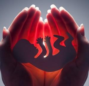 Monaries: Aborcja - obrona życia czy niszczenie życia matki?