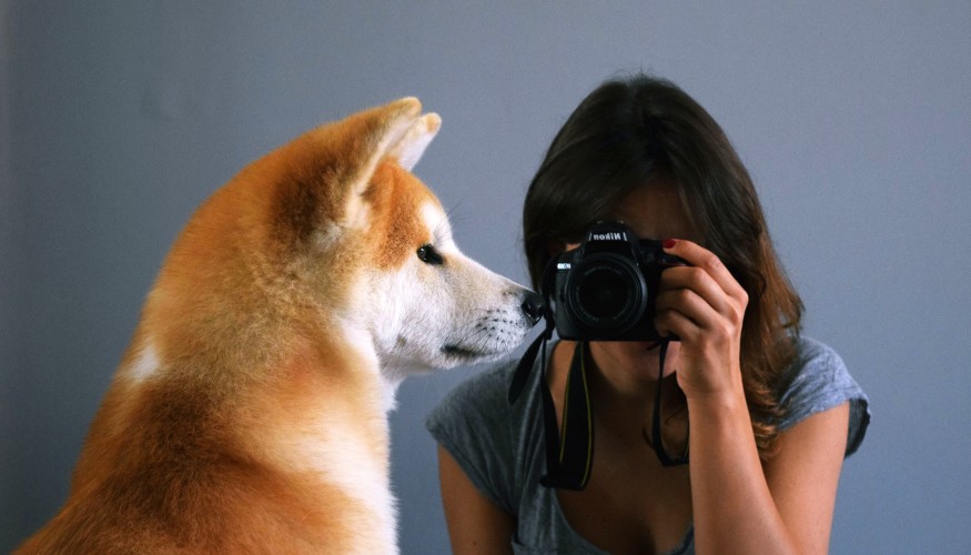 Najbardziej instagramowe zwierzęta na świecie!