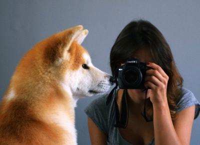 Najbardziej instagramowe zwierzęta na świecie!