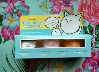 Recenzja - Etude House Skincare cream welcome kit | N. o kosmetykach