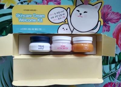 Recenzja - Etude House Skincare cream welcome kit | N. o kosmetykach