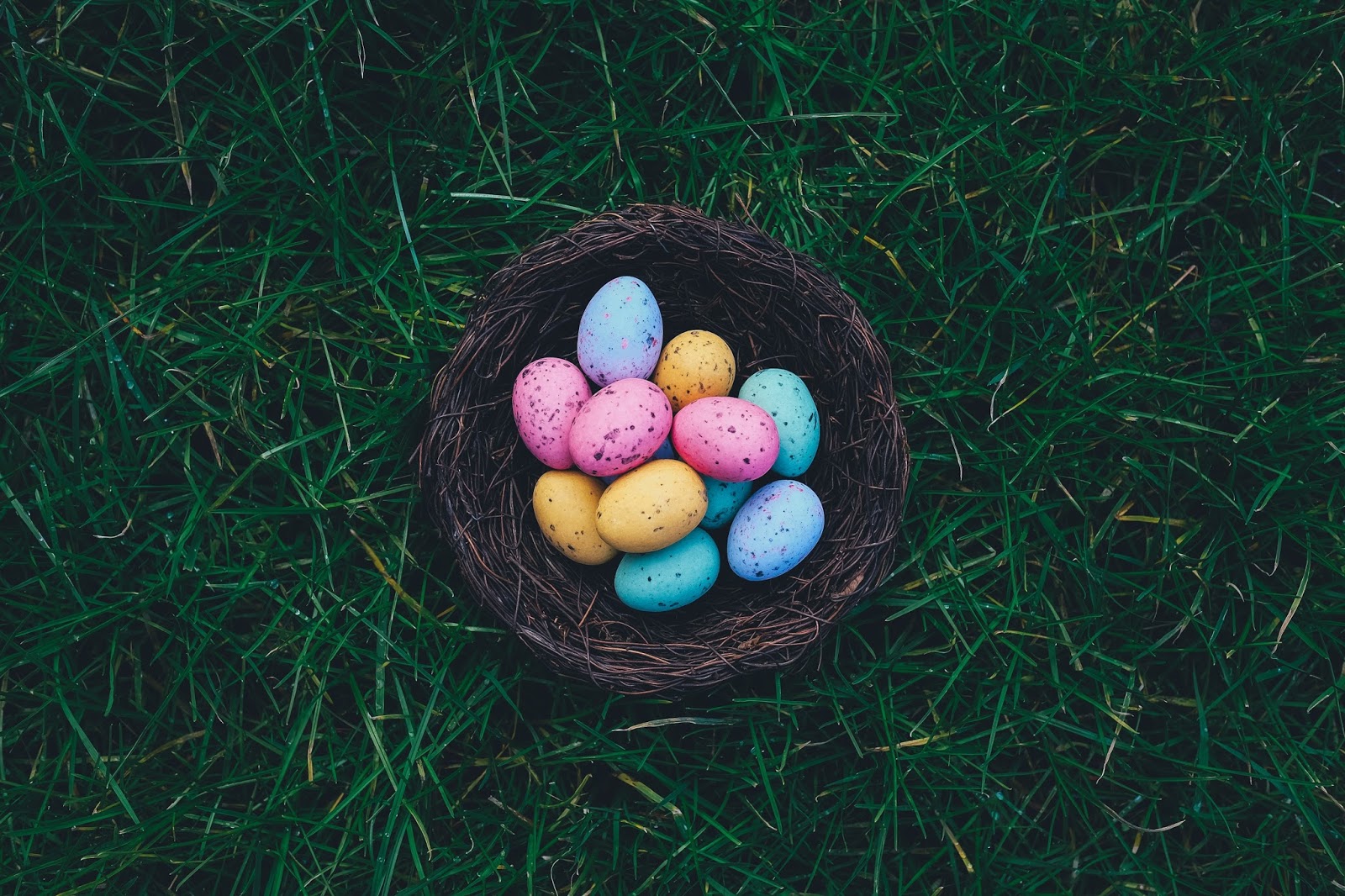 Życzenia Wielkanocne. | Neoabiturientka