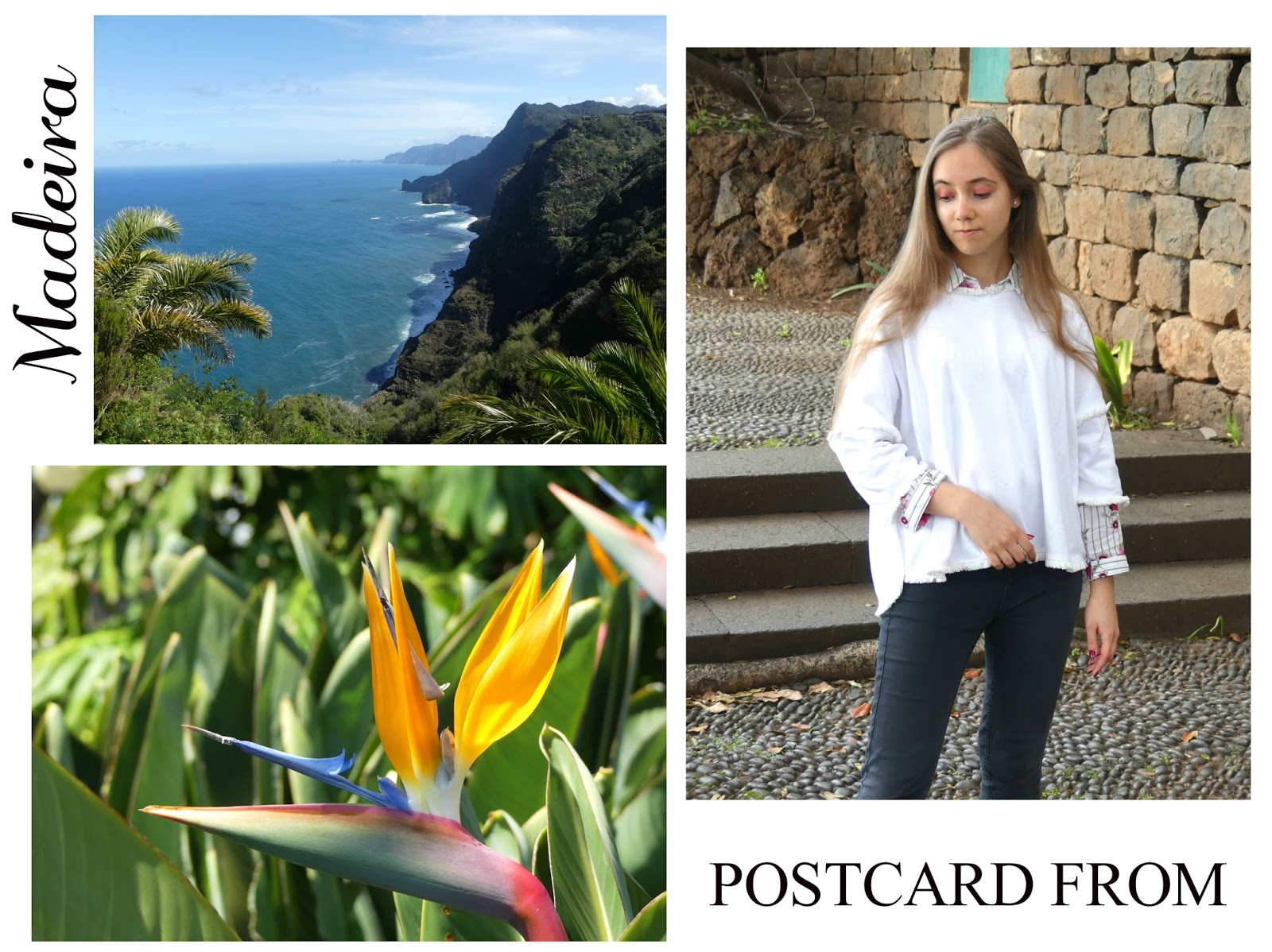 Postcard from Madeira