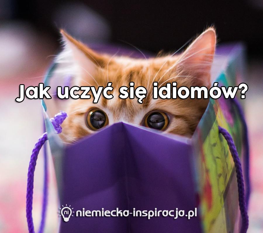 Jak uczyć się idiomów - niemiecka-inspiracja.pl