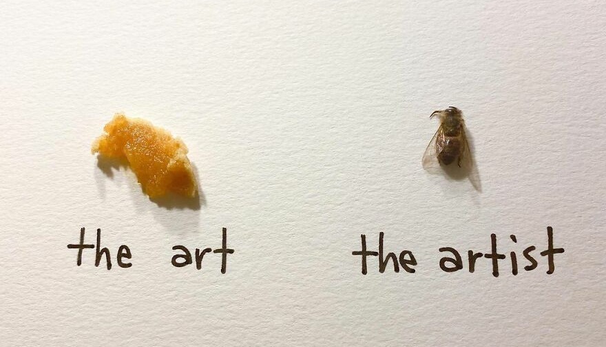 Artystka używa owadów i tworzy małe dzieła sztuki!