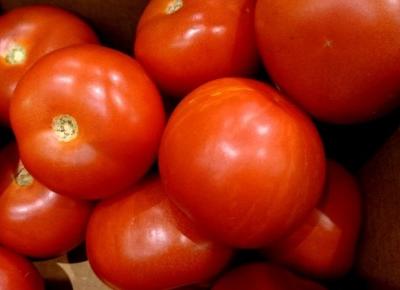 Ciekawostki o pomidorach