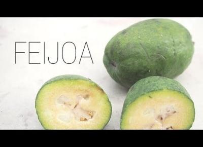 FEIJOA | FRUIT HUNTERKA #2