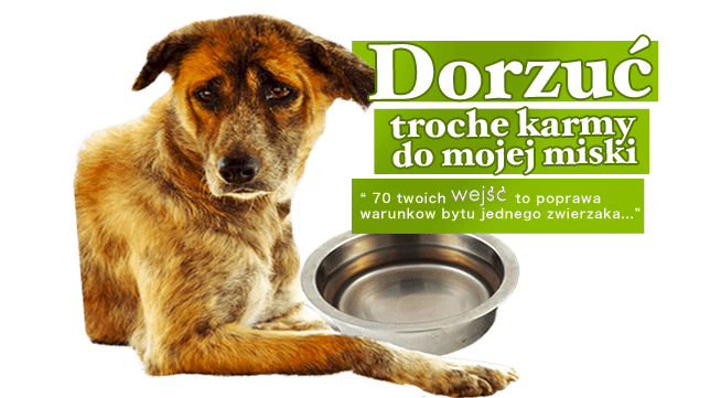 Pomagaj codziennie nie wychodząc z domu!		