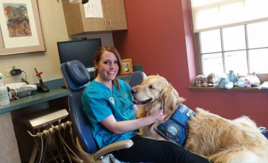 Pies pracuje u dentysty, żeby odstresować pacjentów! 