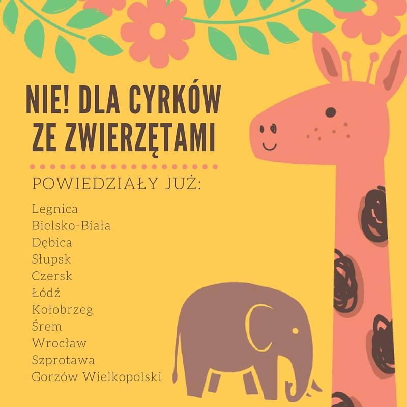 Przedszkolaki zakazały w swoim mieście cyrków ze zwierzętami!