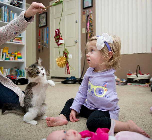 Kotek trójłapek adoptowany przez dziewczynkę bez rączki!