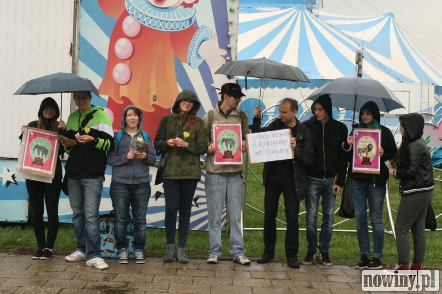 Krytykują, a sami nic nie zrobią!			