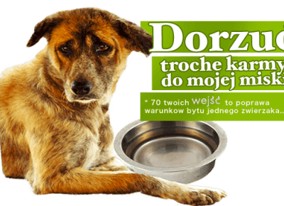 Pomagaj codziennie nie wychodząc z domu!		