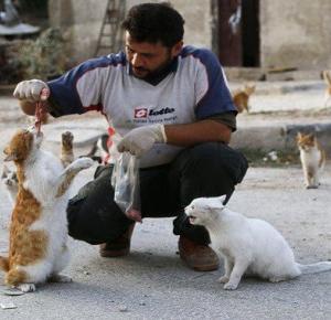 Mieszkaniec ogarniętego wojną aleppo dokarmia 150 bezpańskich kotów!