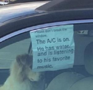 Zamknął psa w samochodzie i zostawił kartkę z dziwną prośbą! 