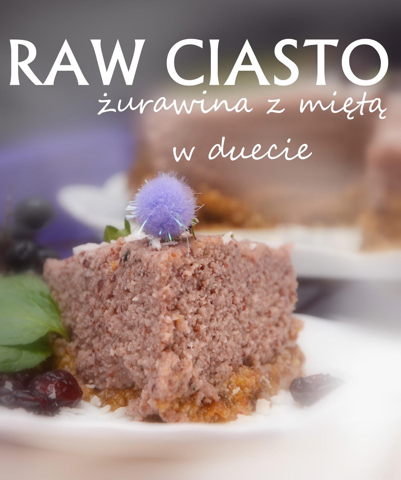 Healthy Dreams: RAW CIASTO- ŻURAWINA Z MIĘTĄ W DUECIE