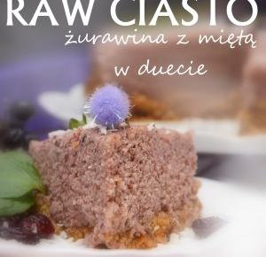 Healthy Dreams: RAW CIASTO- ŻURAWINA Z MIĘTĄ W DUECIE