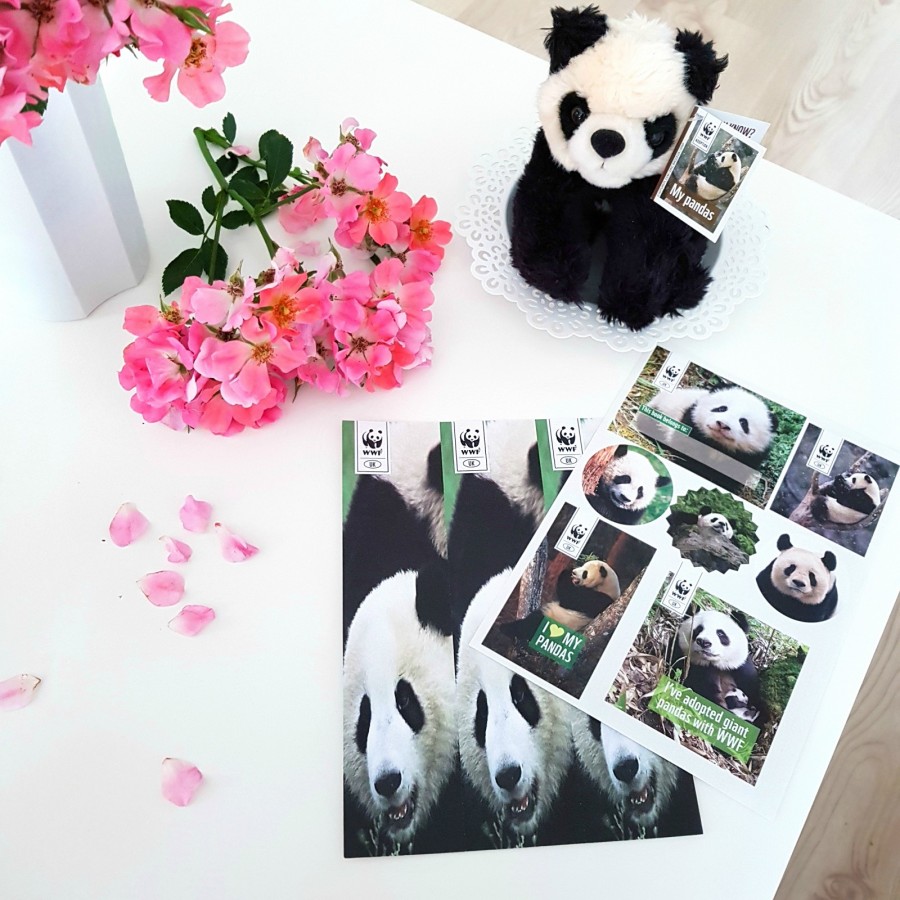 🐼 Pomóż WWF! 🐼 Adopcja pandy wielkiej 🐼🐼🐼