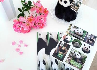 pastelowyblog.pl: Adoptowałam pandy wielkie z gór Qinling w Chinach! | Pomagaj z WWF