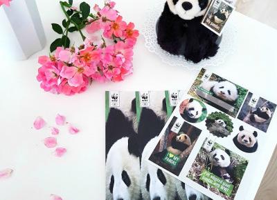 pastelowyblog.pl: Adopcja pand wielkich | góry Qinling w Chinach