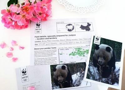 paandusia: Adoptowałam pandy wielkie z gór Qinling w Chinach! | Pomagaj z WWF