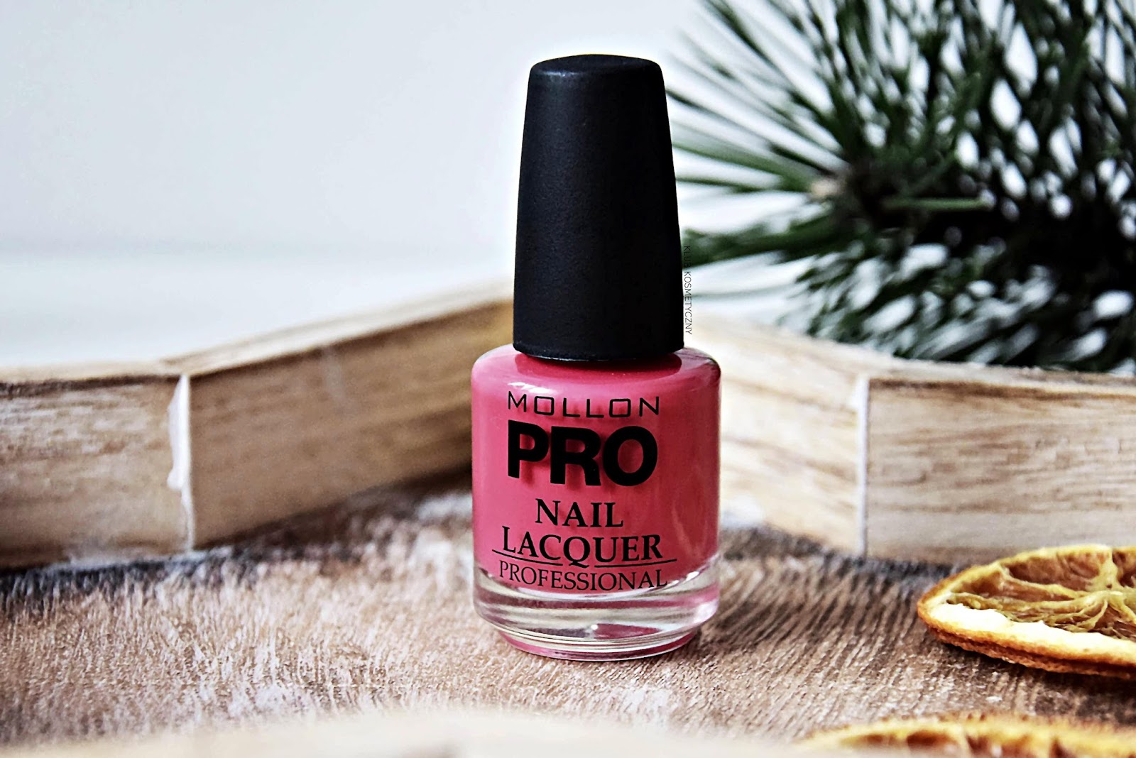 MOLLON PRO, LAKIER DO PAZNOKCI NR 130 - Klub Kosmetyczny: Beauty Blog