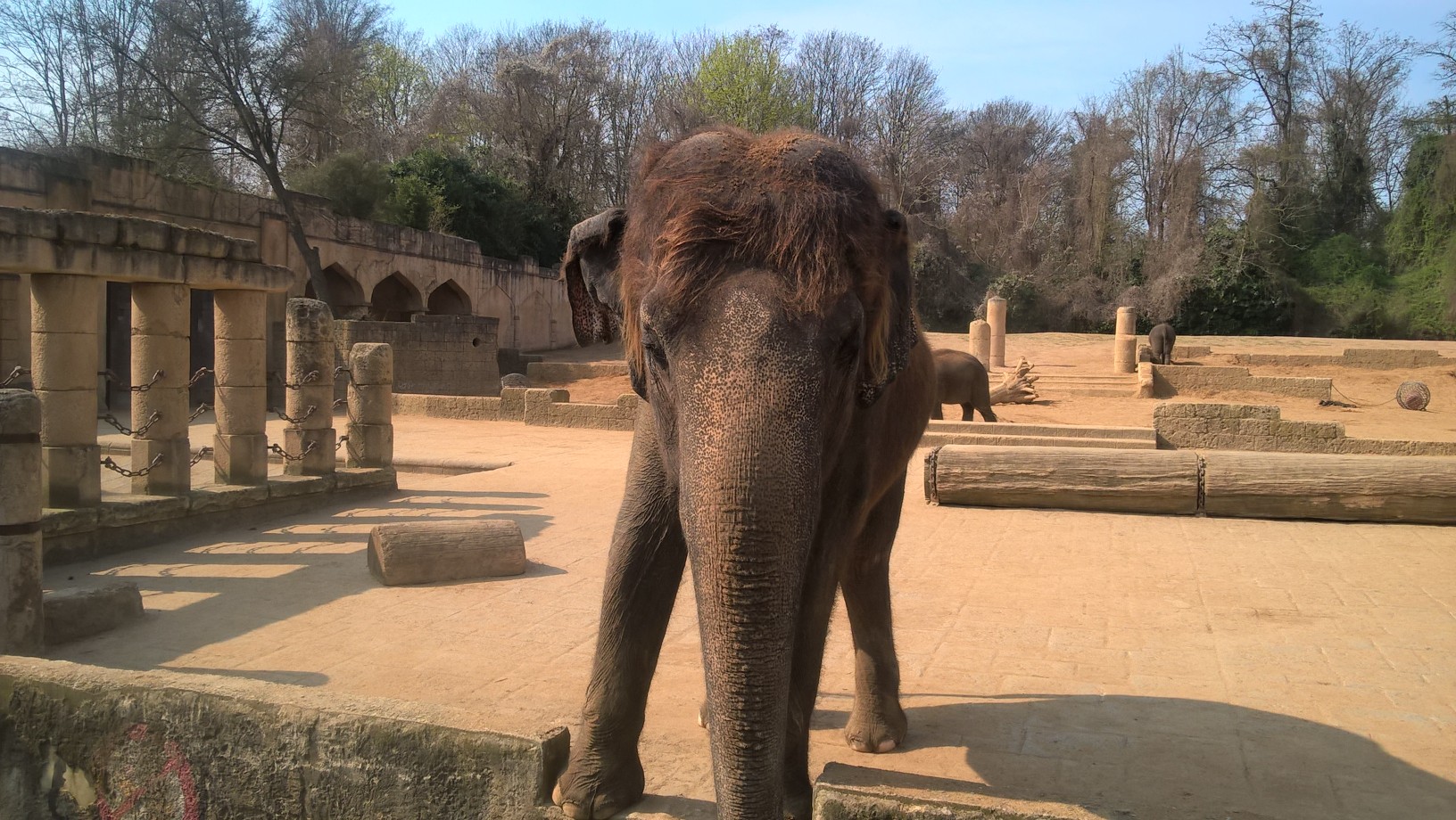 Najpiękniejsze zoo Niemiec – Panna Kwiatkowska