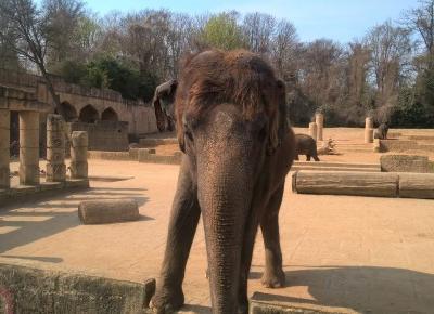 Najpiękniejsze zoo Niemiec – Panna Kwiatkowska