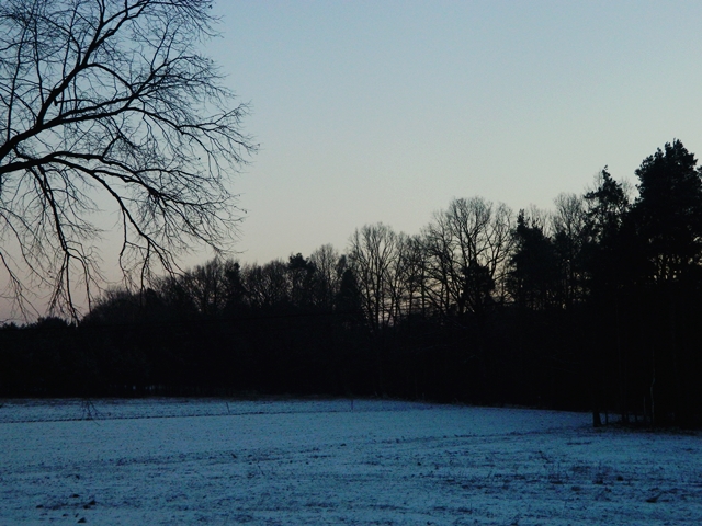                 Bakusiowe Bzdetki: Spadł śnieg